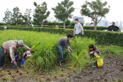 查询拜访丨日本若何看待秸秆焚烧