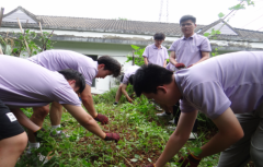 展取田园风光：新田镇和美村落扶植中的