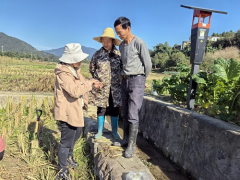 永安：开展秋冬病虫害监测指点科学平安